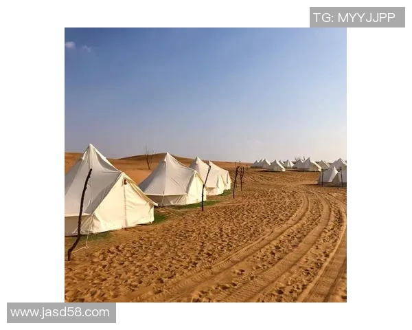 帐篷探险之旅：体验自然之美与露营生活的完美融合