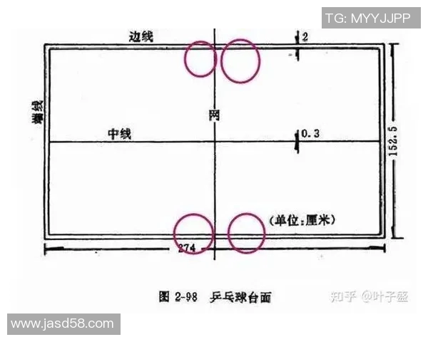 深圳乒乓球队运营策略深度分析与成功经验分享